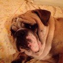 sergio mendiola - @Mendi666Sergio - Twitter