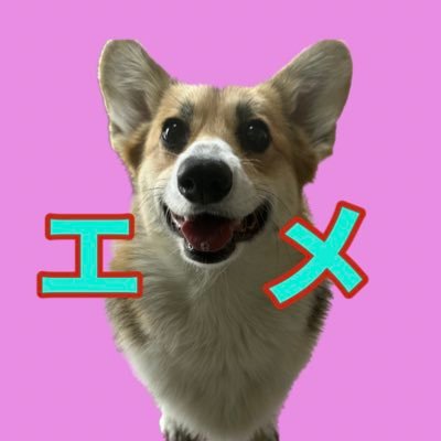 コーギー犬エメの飼い主です。家族でONE OK ROCK大好きです❤️ Twitterは初心者ですがよろしくお願いします(^_−)−☆ 4/5東京ドーム参戦と4/22埼玉べルーナ参戦♬東京ドームVS落選😭