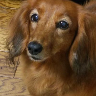 reima1102's profile picture. 39歳です。出会いがほしくてやってます！決まった人はいません。 年齢は気にしません。  山口県山口市に住んでます