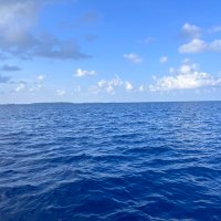 x (@rebecca63743663) 's Twitter Profile