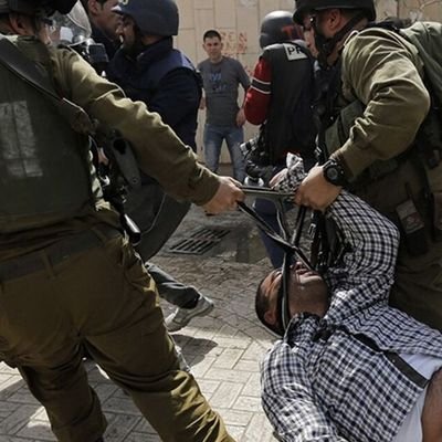 Northern_Issues's profile picture. Voice of Palestinian. raise up for the right of deprived Palestinian people