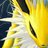 rdash87's profile image