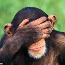 andrewbuda1970's profile picture. 