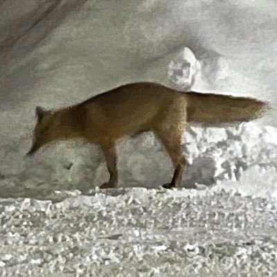 OOOZYFRgBpuIDcs's profile picture. 