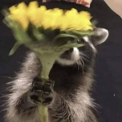 g_regine69279's profile picture. 