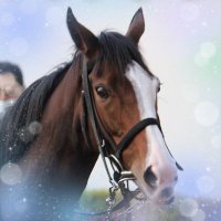 もろみ (@hanro51s) 's Twitter Profile Photo