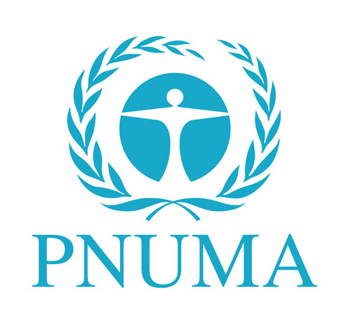 PNUMA