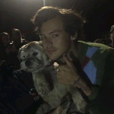 saw Dawid Podsiadło,Taco and Harry Styles 🤗fan account