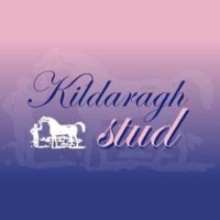 Kildaragh Stud(@kildaraghstud) 's Twitter Profile Photo