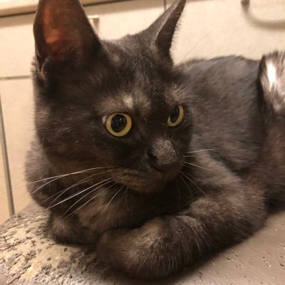 yukief_02's profile picture. 世界の動きを追っています。