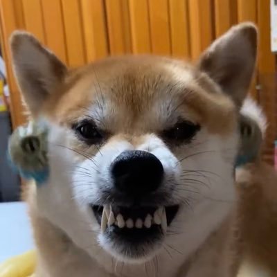 さぶおりさんのプロフィール画像