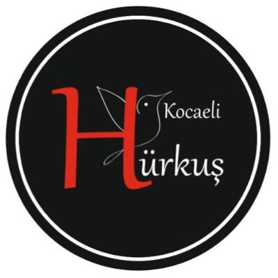 kocaelihurkus41 Profile Picture