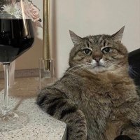yusuf şenli (@yyusuffsenlii) Twitter profile photo