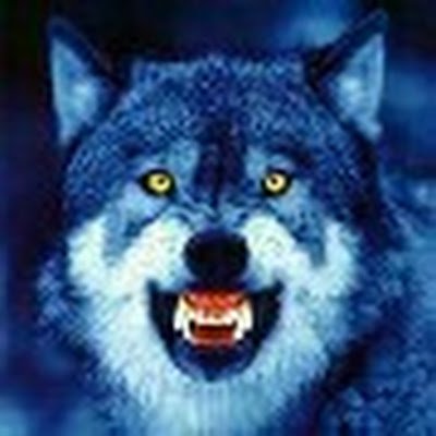 TJ8380685170717's profile picture. 