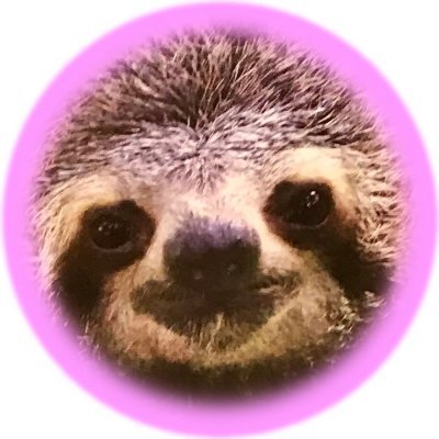 Yupiさんのプロフィール画像