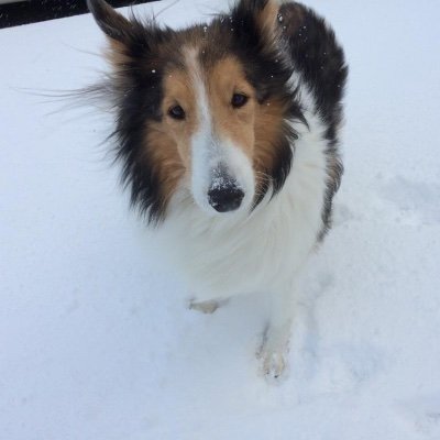 HeresWhatsUpDoc's profile picture. 