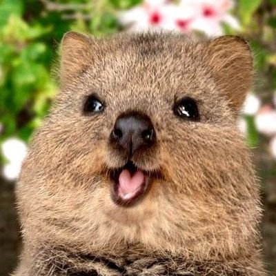 ttug123123's profile picture. 뚜기에 일상 ㅋ