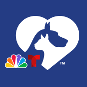 NBCUniversal Local’s nationwide, monthlong pet adoption and donation campaign is Aug. 1st to 31st! Visit https://t.co/3FRK396Zu3 for more info.