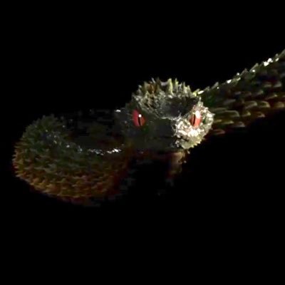 LlWwYyMmMmDd's profile picture. 🐍🐍🐍