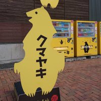 日紫喜🦥🦥🦥 (@hijiki_de_gohan) 's Twitter Profile Photo