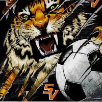 Coach Jay(@Tigers_SVsoccer) 's Twitter Profile Photo