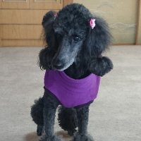 Andy (@mydreams_andy) 's Twitter Profile Photo Andy (@mydreams_andy) 's Twitter Profile Photo