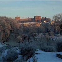 CAI_MONCALIERI (@cai_moncalieri) 's Twitter Profile