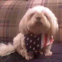 Boogie Underground(@alhanda) 's Twitter Profile Photo