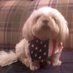 Boogie Underground (@alhanda) Twitter profile photo Boogie Underground (@alhanda) Twitter profile photo