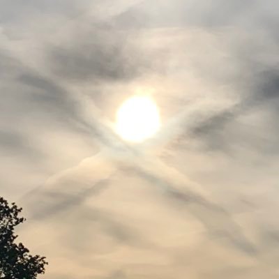 AthenaAina786's profile picture. The land of free and the home of brave. God is good.