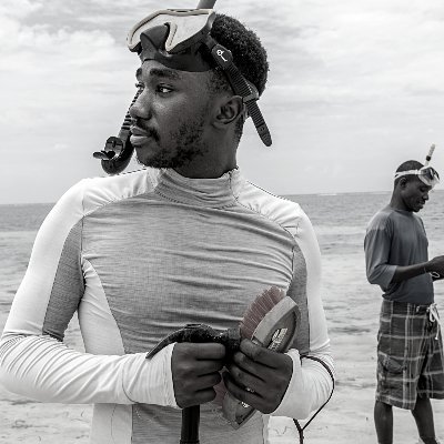 LEDAMA Profile