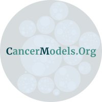 CancerModels.Org(@CancerModelsOrg) 's Twitter Profile Photo