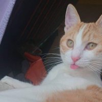 ใตใธ (@kkutuzawa) 's Twitter Profile Photo ใตใธ (@kkutuzawa) 's Twitter Profile Photo