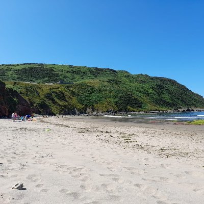 Shar_edwards's profile picture. Life