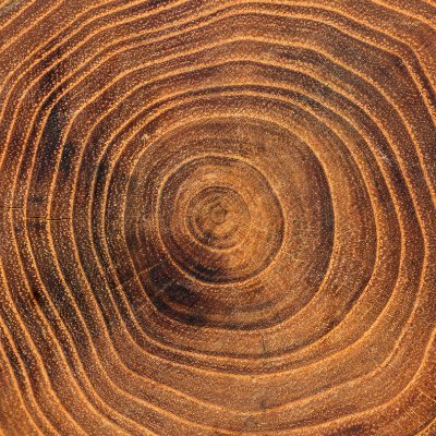 Welcome to D T Dye Timber, suppliers of English Hardwood Timber established since 1955, supplying Norfolk and Suffolk, Oak, Larch and Douglas Fir timber.