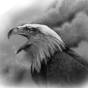 Michael turtle - @MichaelT289 - Twitter