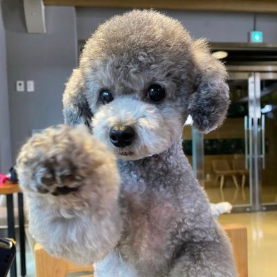 EHlovestephi's profile picture. “เวลา” มีคำตอบให้กับทุกเรื่อง