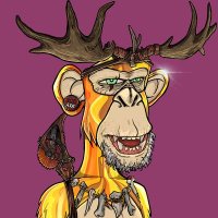 Franck Guidicelli (@franckguidi) 's Twitter Profile