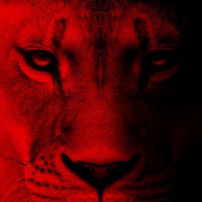 The OFFICIAL TWITTER page of the Augusta Christian Lions Football team, home of the 2X STATE CHAMPIONS!! #313Focus #WeAreAC #HUNT