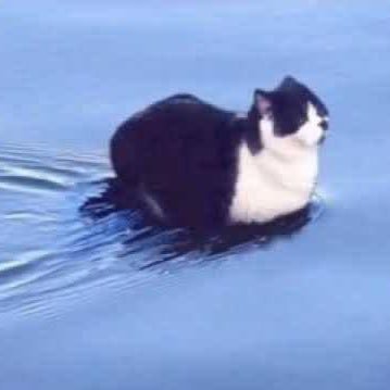 warnerwinnnn's profile picture. ⊹ พักติ่งไปเรียนยาก่อนนะคับ😔🤟🏻 #ramilkremilk ⊹ ༊*·˚