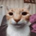 Jonno (@jonnyofjoestar) Twitter profile photo Jonno (@jonnyofjoestar) Twitter profile photo
