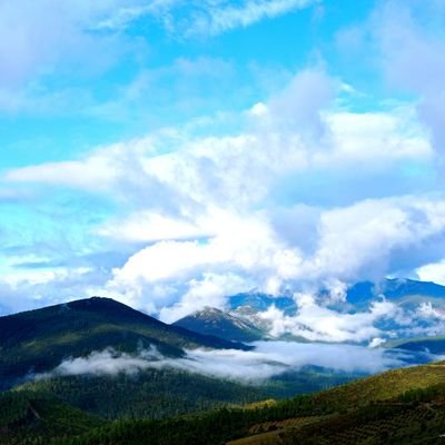 AicheSilva's profile picture. 