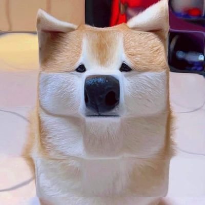 wt94403333's profile picture. 🇹🇼🇹🇼🇹🇼
頭貼來源:https://t.co/olS8PZa4j4