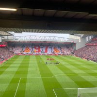 Collier (@collierlfc) 's Twitter Profile