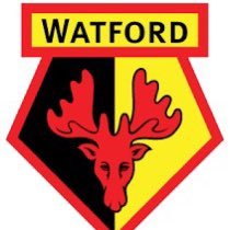 Watford FC STH 🐝 Occasionally say something interesting 💛🖤 Will follow back Watford supporters
