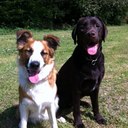 laura masson - @lauramasson1 - Twitter