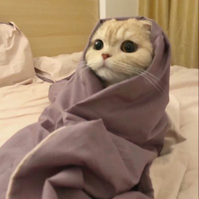 bdgsbdbshsh's profile picture. #باغوزي