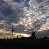 おがた (@ogt_compo) 's Twitter Profile