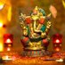 Rajat Gupta (@56nature) Twitter profile photo Rajat Gupta (@56nature) Twitter profile photo