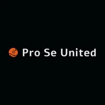 Momma of 5, with a little idea, Pro Se United, to help non-represented parents in child custody matters, to have tools and resources